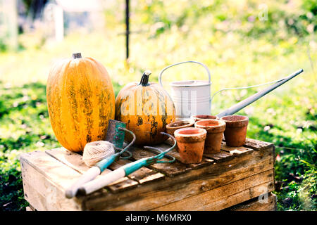 Composizione di verdure, attrezzi da giardino e vasi di fiori nel giardino. Foto Stock