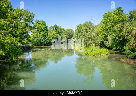 Isola sul fiume Marne, denominata la piccola Venezia del Val de Marne nei pressi di Parigi e di Creteil, Francia Foto Stock