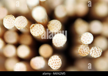 Gli spiedini di bambù Foto Stock