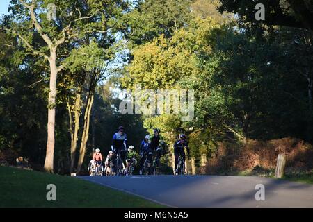 Marathon Bike ride, più piloti in campagna Foto Stock