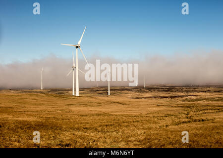 Paesaggio con generatori di vento su un giallo campo di erba in parte coperti dalla nebbia bassa sul terreno, effetto molto interessante, con il blu del cielo Foto Stock