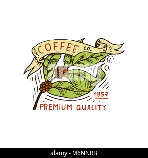 Set di loghi di caffè. moderni elementi d'annata per il negozio menu. Illustrazione Vettoriale. Decorazione design collection per badge di stile di calligrafia per telai, etichette. incisi disegnati a mano nel vecchio sketch. Illustrazione Vettoriale