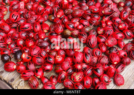 Fresche noce moscata in rosso il macis in vendita su un mercato delle spezie stallo a St George's sull'isola caraibica di Grenada Foto Stock