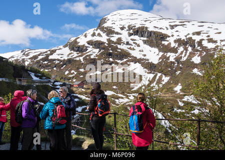 Le persone che ricercano una vista giù a valle da un punto di vista al di sotto di Flam Railway. Vatnahelsen, Aurland, Norvegia, Scandinavia, Europa Foto Stock