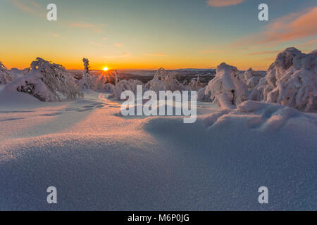 Paesaggio invernale in luce diretta al tramonto con snowy di betulle e bel colore nel cielo, Gällivare, Lapponia svedese, Svezia Foto Stock