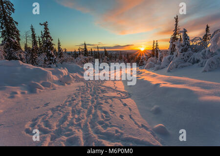 Paesaggio invernale in luce diretta al tramonto con una strada con piste innevate, betulle e abeti rossi e bel colore nel cielo, Gällivare, Lapla svedese Foto Stock