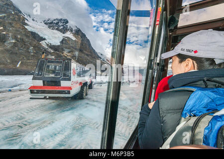 I visitatori che desiderano da Windows di neve coach touring Ghiacciaio Athabasca, Jasper National Park, Alberta, Canada Foto Stock