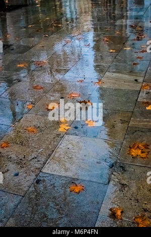 Le riflessioni di edifici su un pavimento bagnato con pozzanghere e caduta foglie in Madrid. Foto Stock
