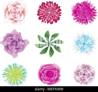 Set di fiori. Bellissimi fiori colorati e foglie isolati su sfondo bianco. Illustrazione Vettoriale. Clipart, icone. Illustrazione Vettoriale