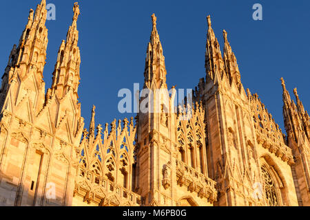 Basso angolo di visione del soleggiato facciata di Milano gotico iconico cattedrale o Duomo di Milano al tramonto, vista frontale, Milano, Italia Foto Stock