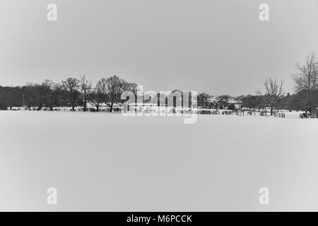 Dopo la bestia da est hits County Durham i campi e la campagna circostante sono coperti in una pesante coltre di neve fresca. Foto Stock