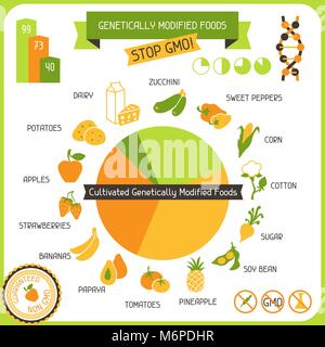 Informazioni Poster alimenti geneticamente modificati Illustrazione Vettoriale