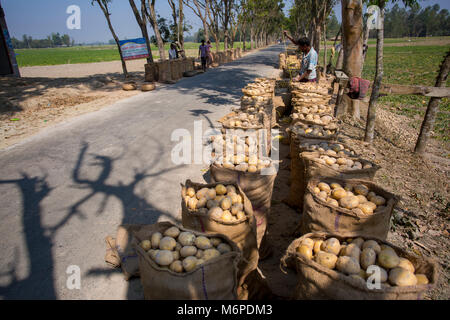 Un lavoratore sta facendo una cucitura un sacco di patate sacco bocca. Foto Stock