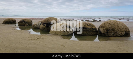 Moeraki Boulders, Isola del Sud, Nuova Zelanda Foto Stock