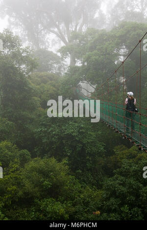 Una donna che guarda la vista da un passaggio pedonale sulla foresta pluviale tropicale a baldacchino al Borneo Rainforest Lodge in Danum Valley, Malesia Foto Stock