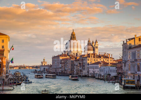 Splendida vista del Canal Grande e la Basilica di Santa Maria della Salute durante il tramonto, Venezia, Italia Foto Stock