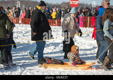 Willow, Alaska, Stati Uniti d'America. Mar 4, 2018. Piccolo ventilatore ottenere tirato sulla linea di partenza della Iditarod Sled Dog Race. Credito: Kristen Bentz/Alamy Live News Foto Stock