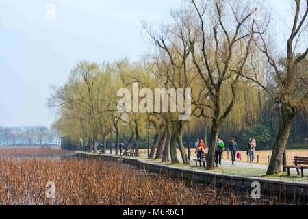 Hangzh, Hangzh, Cina. Mar 4, 2018. Hangzhou, Cina-4marzo 2018: il Lago Ovest, situata in Hangzhou, est della Cina di Provincia dello Zhejiang, è un lago di acqua dolce in Hangzhou (Cina). Essa è suddivisa in cinque sezioni da tre causeways. Ci sono numerosi templi e pagode, giardini e isole artificiali all'interno del lago. Mappa di West Lake in Hangzhou, Cina Pagoda Leifeng West Lake ha influenzato poeti e pittori in tutta la storia cinese per la sua naturale bellezza e cimeli storici, e inoltre è stata tra le più importanti fonti di ispirazione per il giardino cinese designer. Esso è stato reso Foto Stock