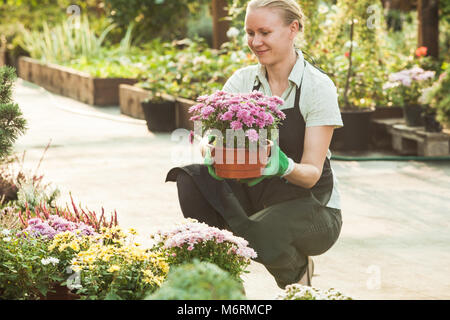 Donna giardiniere con pentole Foto Stock