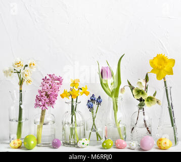 Fiori di Primavera in diversi vasi in vetro Foto Stock