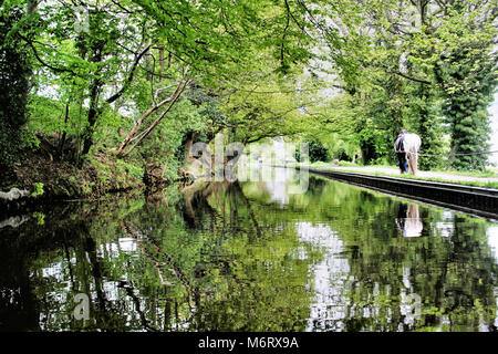 Il canale a Llangollen in Galles Foto Stock