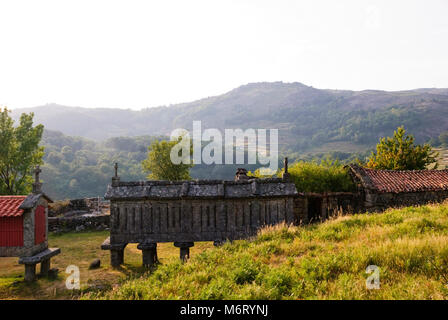 Tipica pietra essiccatoi del mais, chiamato espigueiros, parco nazionale di Panda Geres, il nord del Portogallo Foto Stock