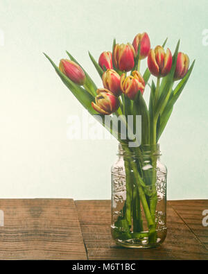 I tulipani in una chiara mason jar vase Foto Stock