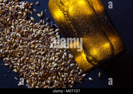 Consistenza con di malto d'orzo per birra, ale pallido, pilsen Foto stock -  Alamy