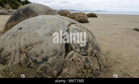 Moeraki Boulders, Isola del Sud, Nuova Zelanda Foto Stock