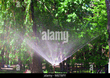 Sprinkler giardino su una soleggiata giornata estiva nel corso di irrigare il prato verde. Foto Stock