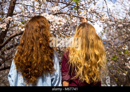 Per piantare un piccolo verde piantina in Tu BiShvat Foto Stock