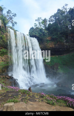 Dambri waterfall - di Lam Dong Vietnam Foto Stock