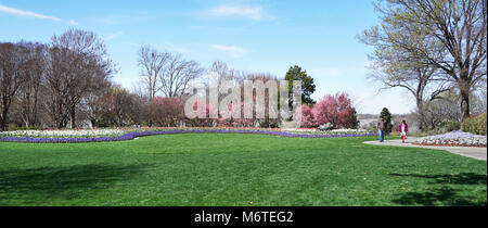 Dallas, Texas - Marzo 6,2018 Dallas Arboretum e Giardino Botanico, facendo una passeggiata su una grande primavera tempo giorno in Texas. Foto Stock