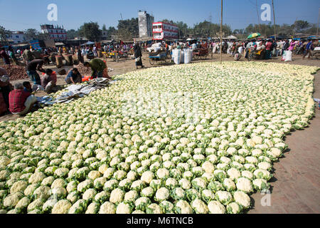 Un sacco di cavolfiori per mahasthan hat (fornitore del popolare mercato), Bogra distretto, Bangladesh. Foto Stock