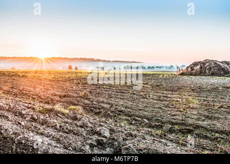 Arata dopo il raccolto di un campo nei pressi di Kiev, in Ucraina. La nebbia oltre il campo di mattina presto. Un paesaggio rurale con colori luminosi all'alba. Foto Stock