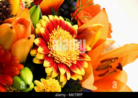 Un mazzo di fiori di close-up. Rosso, giallo, arancio e fiori lilla sono raccolti in un mazzo di fiori. Foto Stock