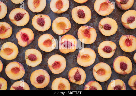 Prunus persica. Pesche pattern su un sfondo di ardesia Foto Stock