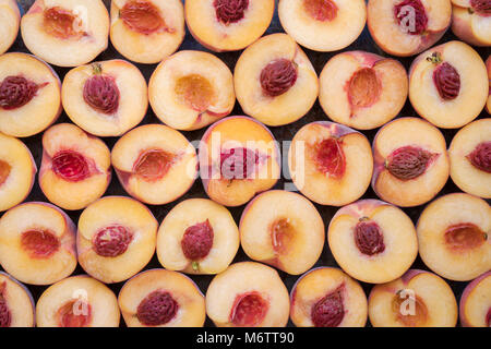 Prunus persica. Pesche pattern su un sfondo di ardesia Foto Stock