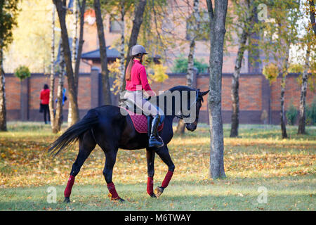 Pilota giovane ragazza sulla baia il cavallo in autunno parco vicino street. Ragazza adolescente di equitazione nel Parco Foto Stock