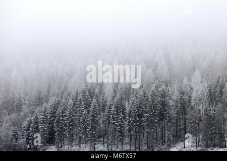 Paesaggio con nebbia su boschi innevati in inverno. Foto Stock