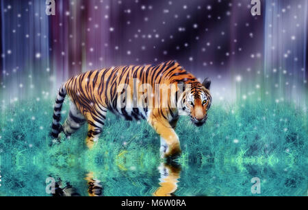 Tiger faccia feroce lo schema di colore nel romanzo ha neve Foto Stock