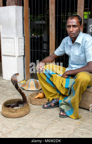 Incantatore di serpente in sarong con Cobra indiano (Naja Naja) a Kandy, Sri Lanka Foto Stock