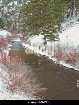 In inverno la neve lungo il Po' di ficodindia creek in Wolf Creek Canyon vicino a Helena, Montana Foto Stock