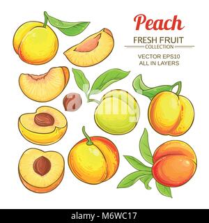 Peach frutti vettore impostato su sfondo bianco Illustrazione Vettoriale