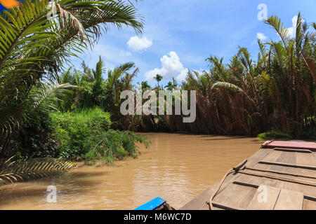 Gite in barca su un fiume sporco Delta del Mekong, Vietnam Foto Stock