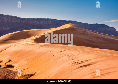 Dune di sunrise, Moquith montagne in distanza, Coral Pink Sand Dunes State Park, Utah, Stati Uniti d'America Foto Stock