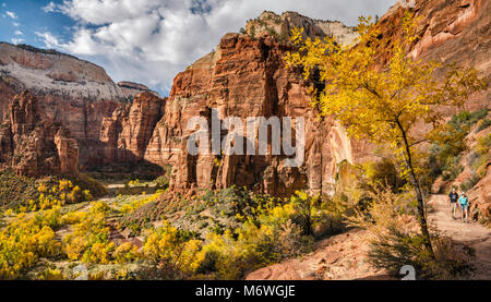 Zion Canyon in Big Bend area, l'organo, piangendo Rock, Cattedrale di montagna, gli escursionisti a Hidden Canyon Trail, fine ottobre, Parco Nazionale Zion, Utah, Stati Uniti d'America Foto Stock