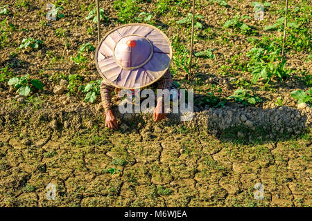 Gli agricoltori di una donna che indossa un bambù rotondo hat, sta lavorando su un campo nel paesaggio agricolo Foto Stock