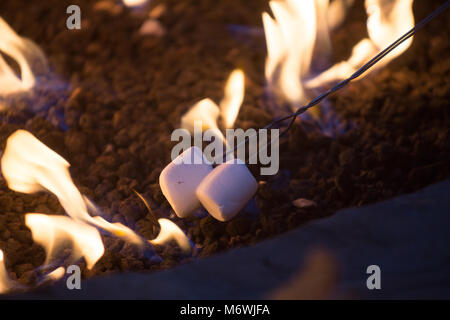 La tostatura marshmallow su un fuoco pit Foto Stock