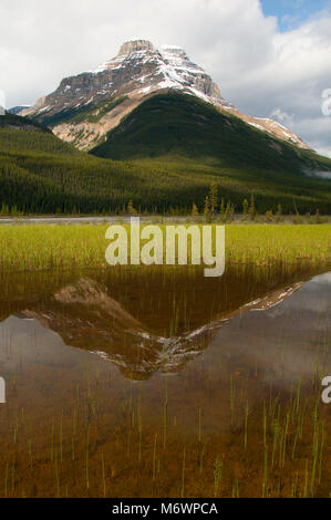 Montare Amery, il Parco Nazionale di Banff, Alberta, Canada Foto Stock